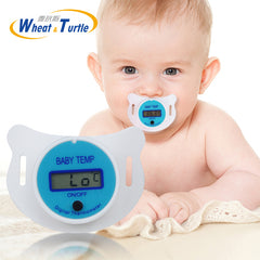 Nipple Thermometer