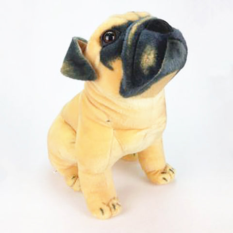 Shar Pei