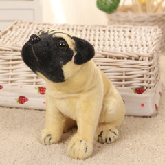 Shar Pei